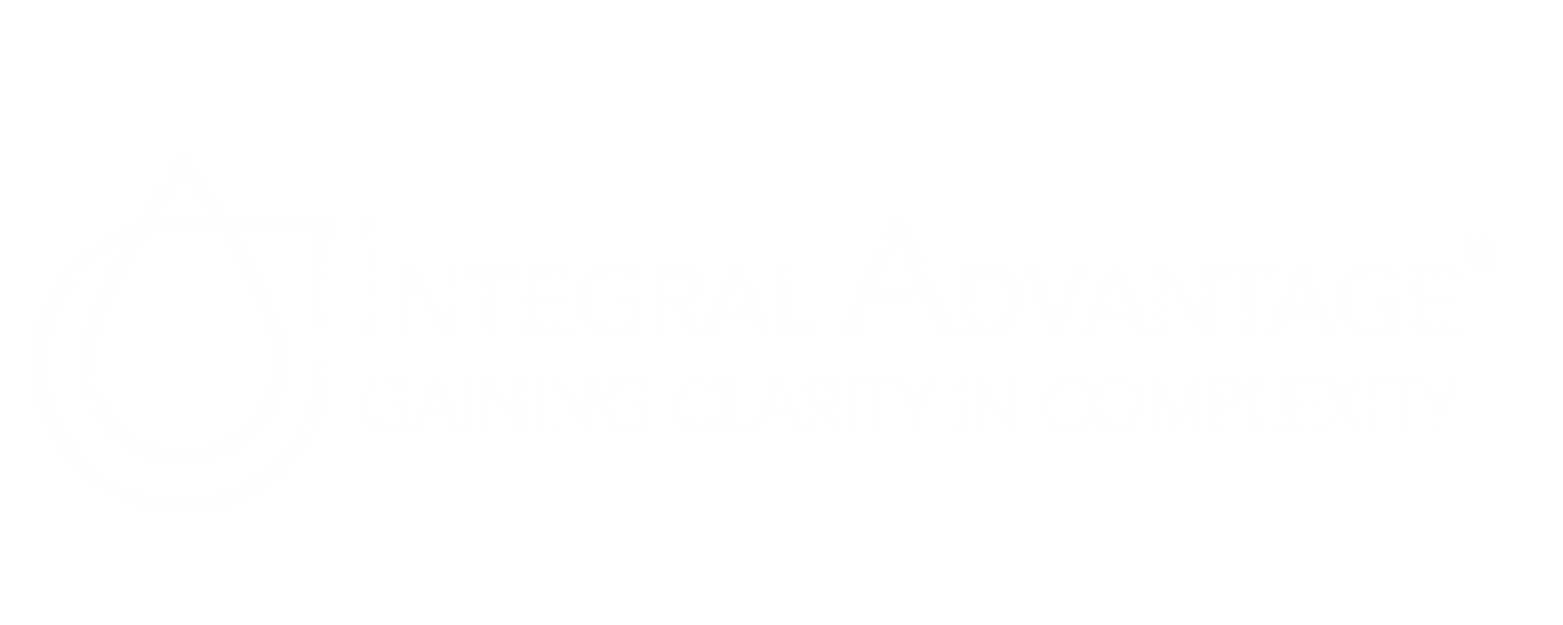 Center for Integral Advantage